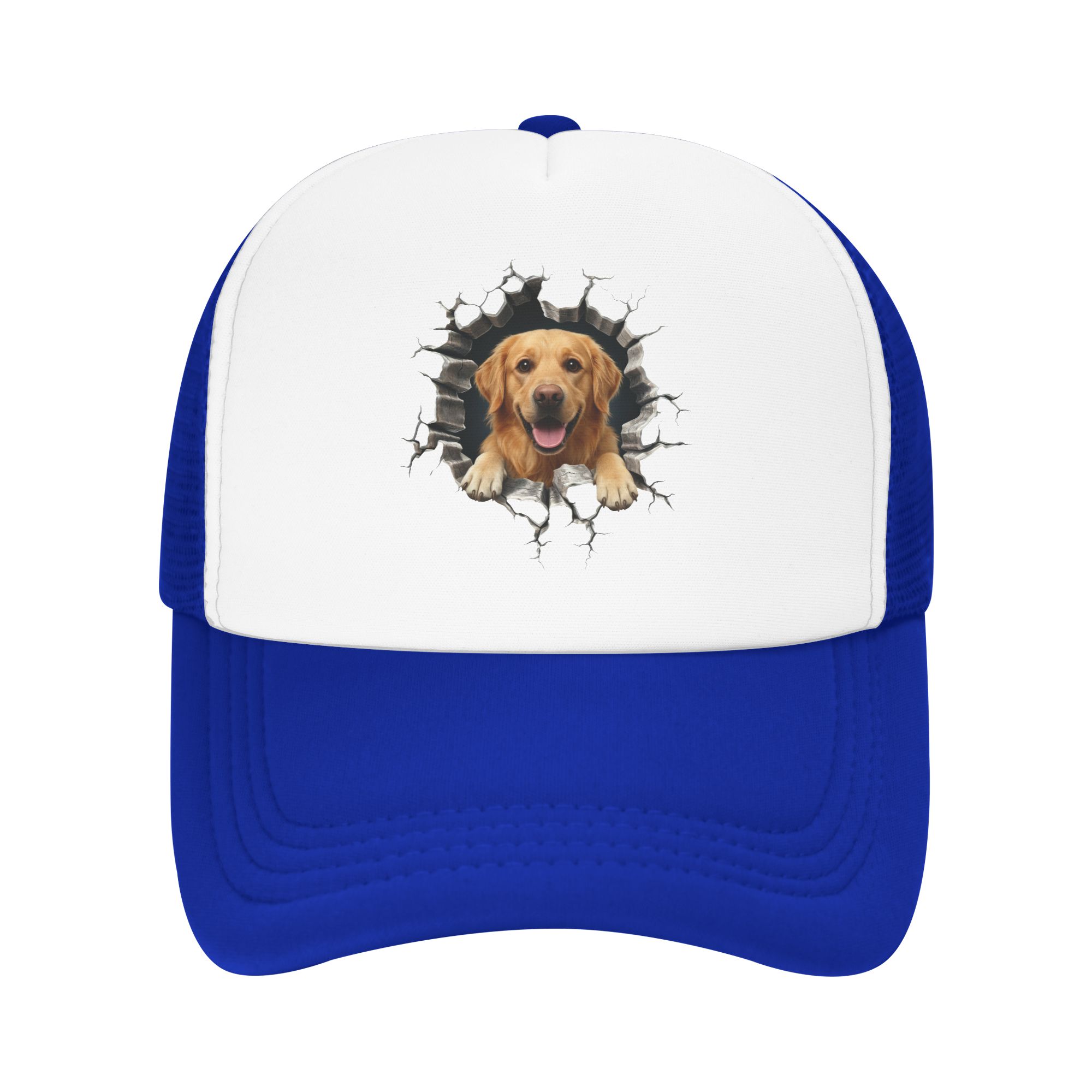 Breaking Through Golden Retrie - огляд і ціна Hat Snapback Cap