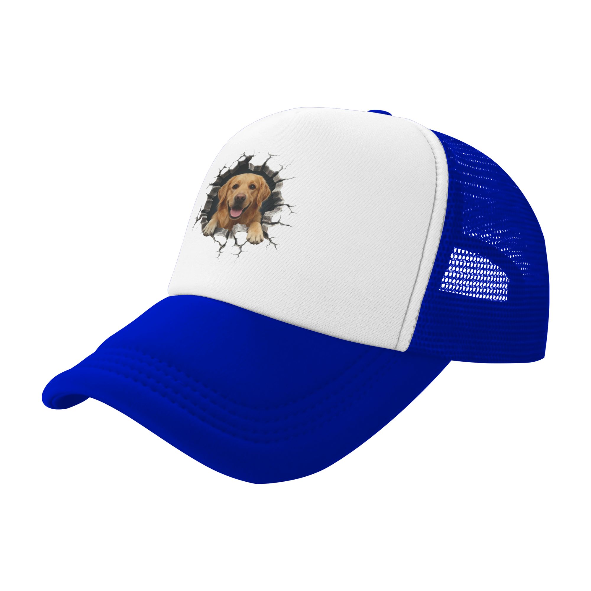 Breaking Through Golden Retrie - огляд і ціна Hat Snapback Cap
